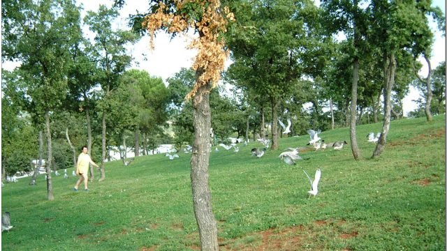 مقهى صغير يتحوّل إلى ملتقى للقرّاء